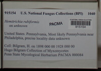 Image Associated With the Occurence